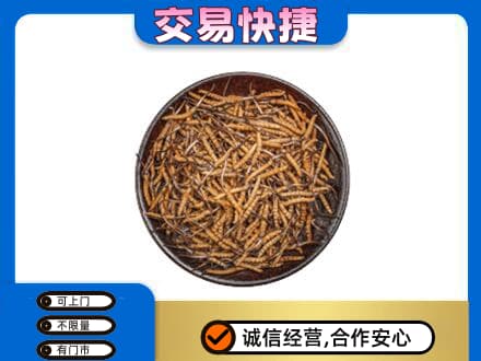 玉环市回收散虫草